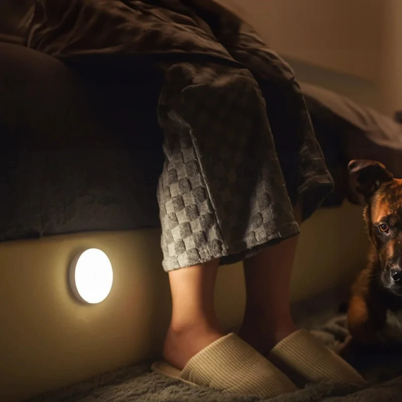 Magnetic USB-C Rechargeable Motion Sensor Night Light