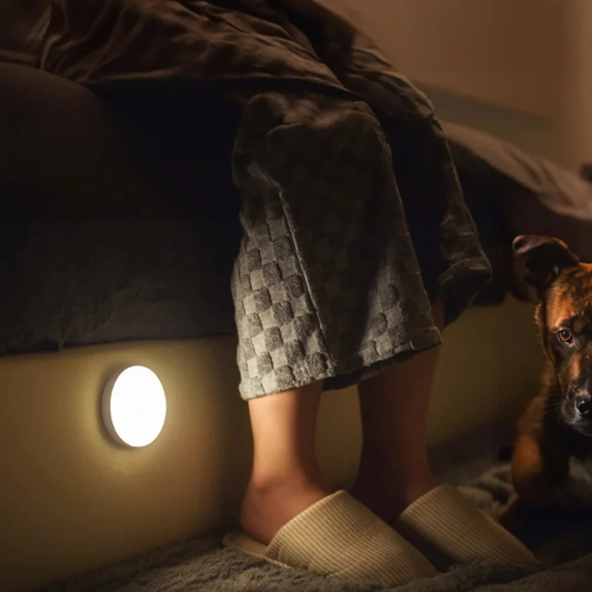 Magnetic USB-C Rechargeable Motion Sensor Night Light